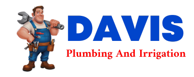 Trusted plumber in HUGHSONVILLE